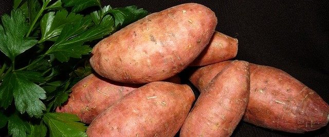 Sweet Potatoes representing Healthy Carbohydrates free from wheat. 