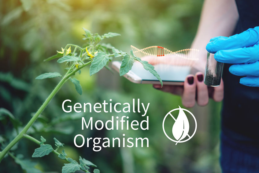 Image saying "Genetically Modified Organisms" to represent hat Does Non-GMO Mean?