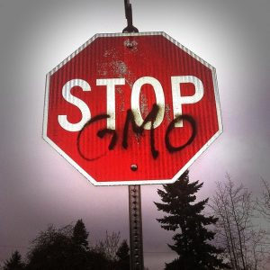 A stop sign with the word "GMO" to talk about my personal tips on how to avoid GMOs and how to consume less corn and soy.