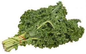 We don't need milk to get enough calcium in our diet. We can get it from other foods like the kale that is shown in this picture.