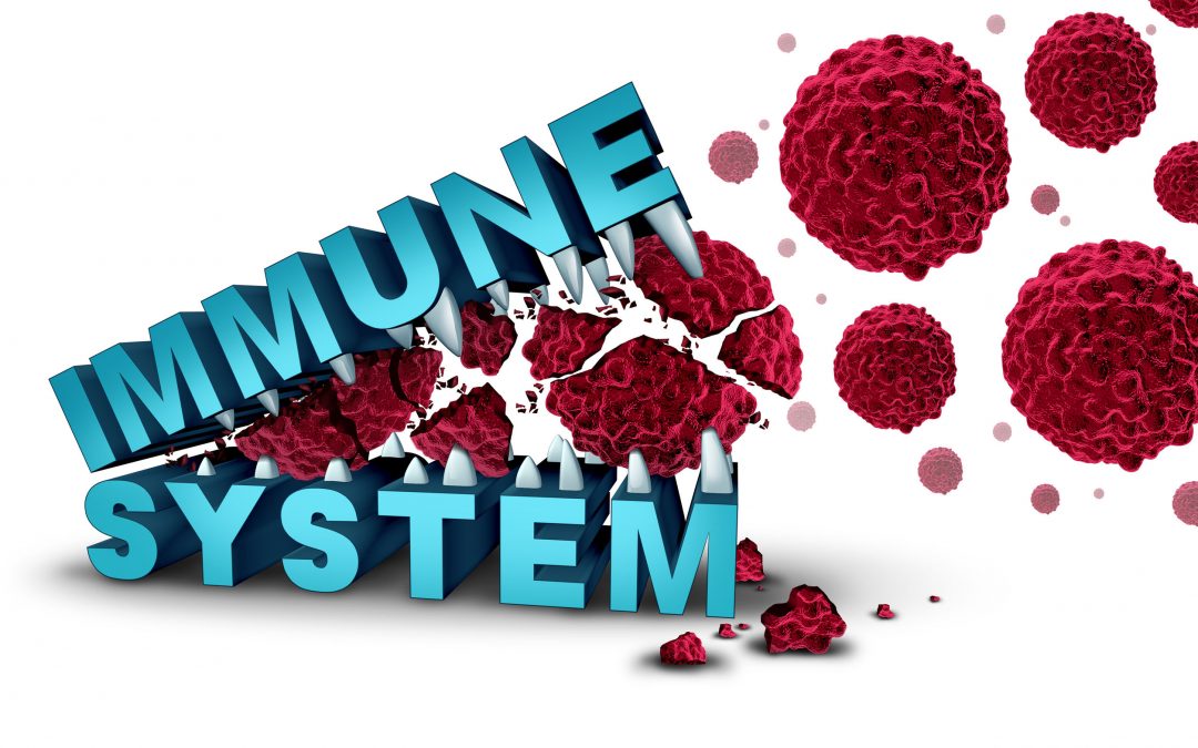 Image of the words "immune system," eating germs to discuss the facts on germs, how powerful the immune system is, and the lies we have been told.