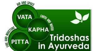 An image with the descriptions of the three doshas in ayurveda medicine to discuss a healthy weight based on Ayurveda medicine.