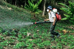 An image of a guy spraying pesticides across his garden to talk about how pesticides are one of the most dangerous toxins.