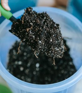 An image of high quality dirt to talk about how to choose natural plant fertilizers