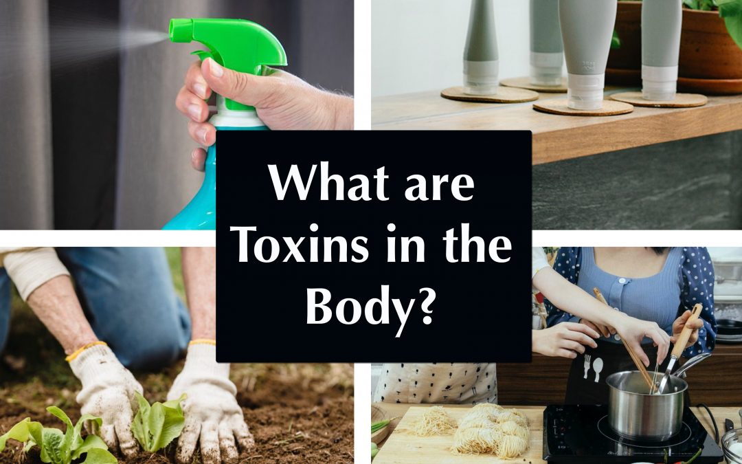 What are Toxins in the Body? (Overview of All Things Toxic)