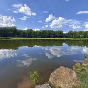 An image of a lake with a reflection to talk about reflecting on your life and whether it makes sense to make changes to increase your gratefulness. 