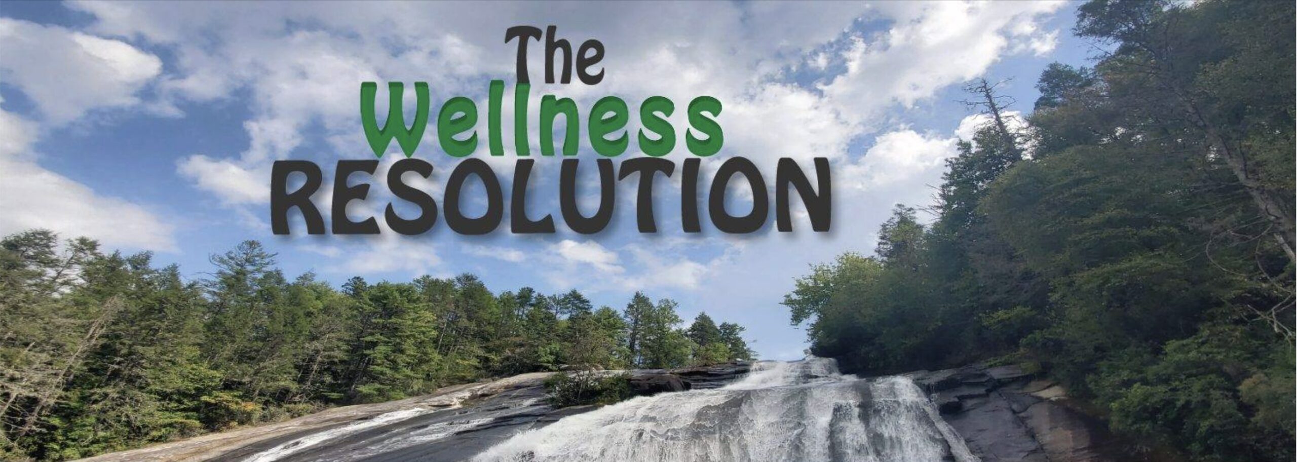 The Wellness Resolution a blog that is about revitalizing your health to prevent chronic health conditions with 40-45% of Americans having one.